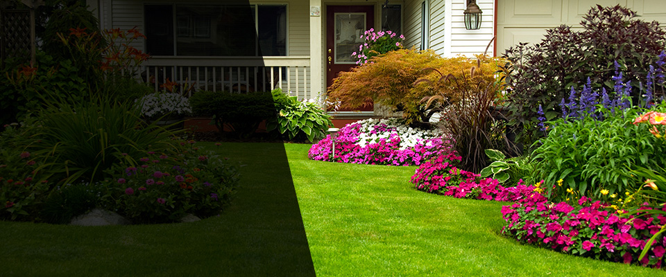Hazel Park Landscapers