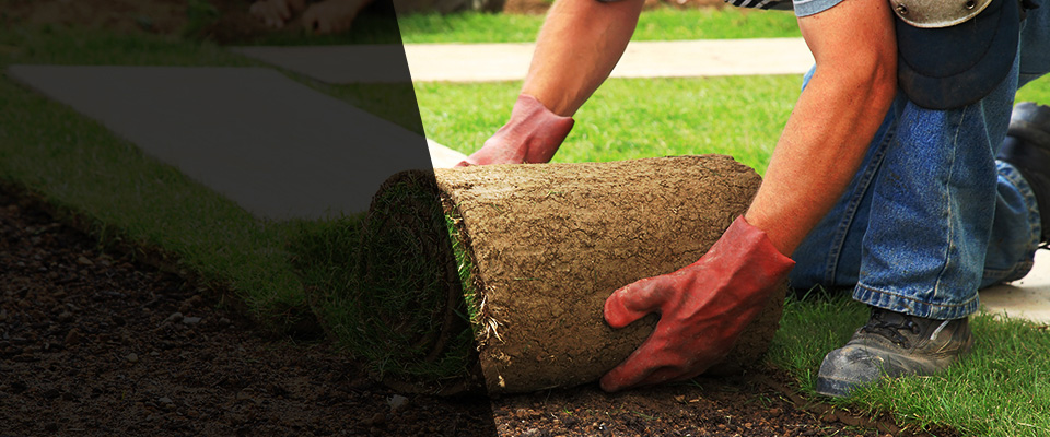Hazel Park Landscapers